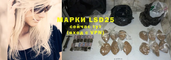 стафф Алзамай