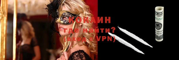 стафф Алзамай