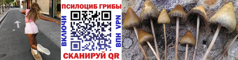 Галлюциногенные грибы прущие грибы  Феодосия 
